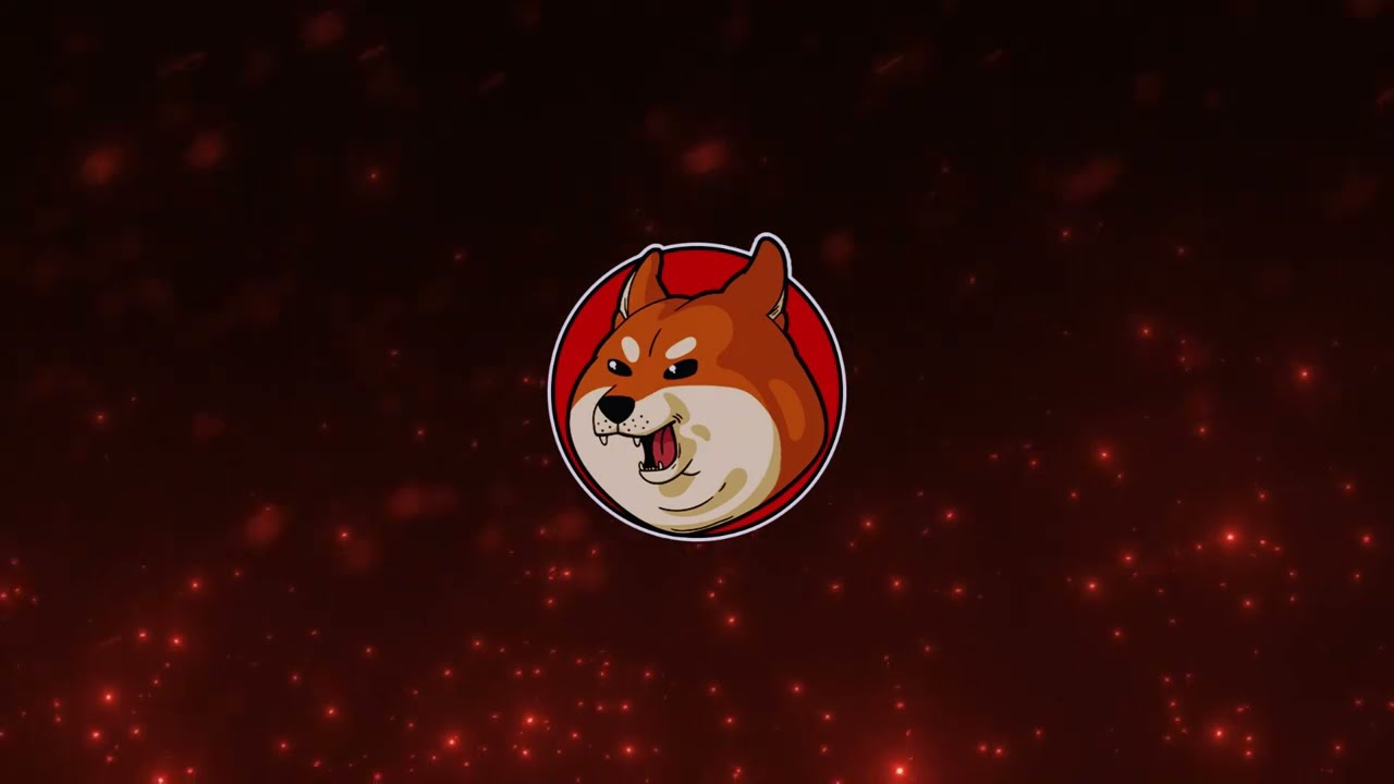 Bought Me Some $SHIBO (Official Lyric Video) - $Shibosu Theme Song