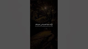  لَو أَنزَلنا هذَا القُرآنَ عَلى جَبَلٍ | محمد صديق المنشاوي | سورة الحشر
