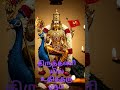 #devotional #murugan #palani #tranding #love #song #cover #music