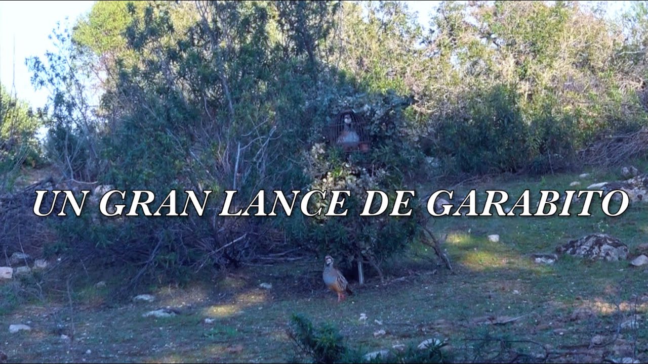 La magia de un buen reclamo - El Titeo