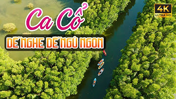 Vừa Nằm Vừa Nghe Ca Cổ Cải Lương Ru Ngủ Hay Nhất - Ca Cổ Hơi Dài Dễ Nghe Dễ Ngủ Ngon🌾Tân Cổ Dân Ca