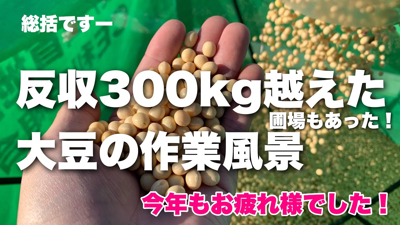 反収300kg超えの大豆の作業風景