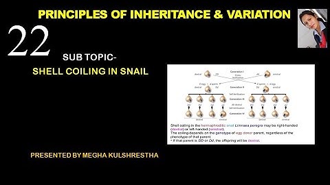 Maternal Effect-  Shell coiling in snail (Lymnaea peregra)