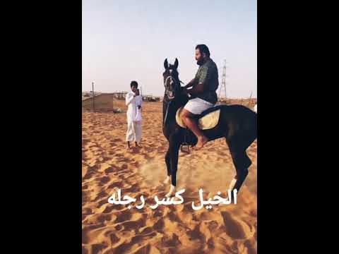 كسر رجله الخيل