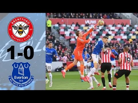 Brentford vs Everton: Bees fight back to deny winless Toffees