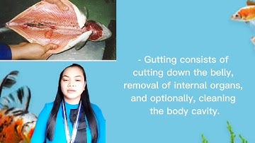 TLE- Fish Processing