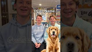 How Many Dogs Can You Name??