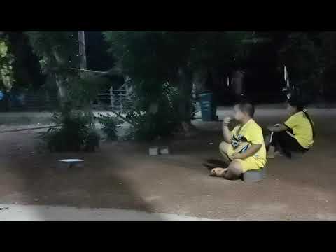 ดู ภาพยนตร์