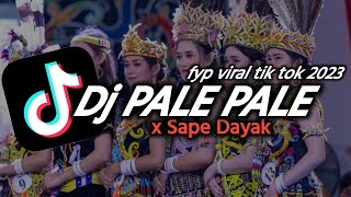 DJ PALE PALE X SAPE DAYAK MANGKANE _-_Fyp_Viral _TikTok _2K23
