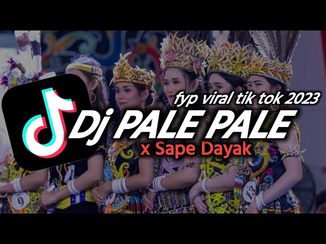 DJ PALE PALE X SAPE DAYAK MANGKANE _-_Fyp_Viral _TikTok _2K23 class=