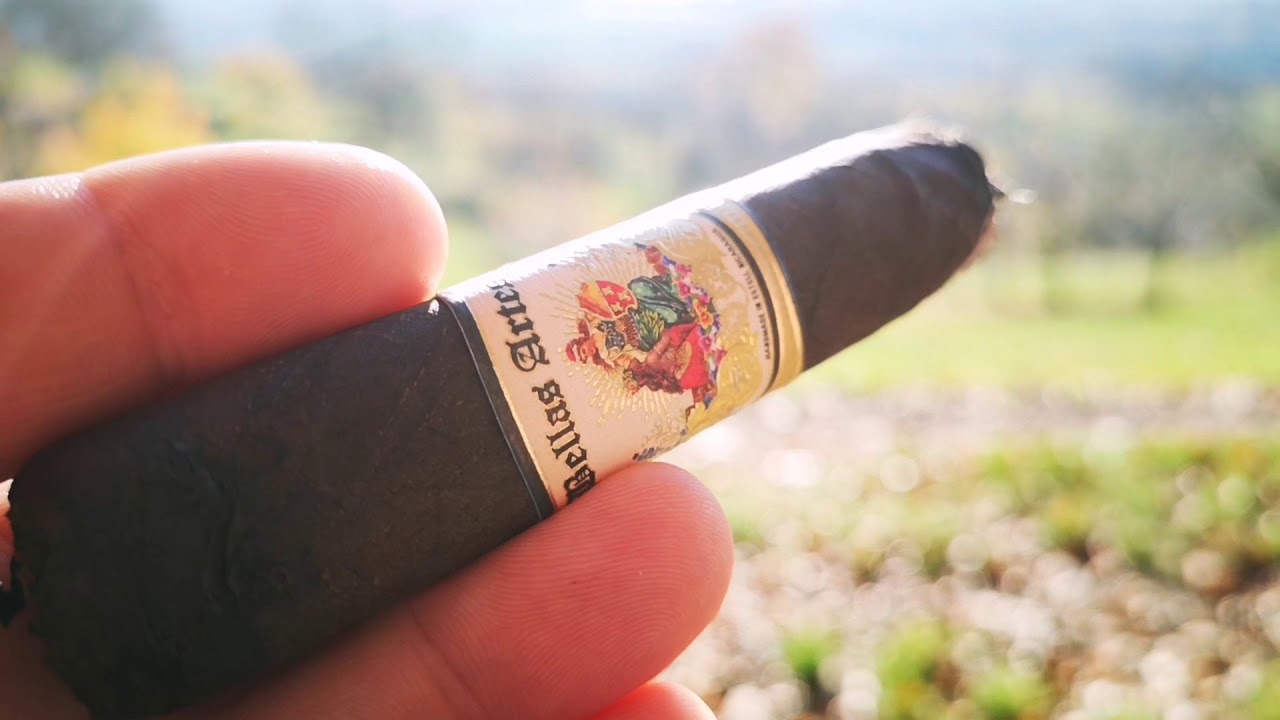 AJ Fernandez Bellas Artes Maduro Robusto Zigarren Review