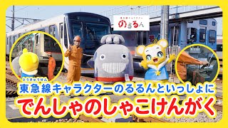 のるるん　座れる収納BOX 東急東横線 東急、新商品「座れる収納BOX」「トコトコぬいぐるみ」を発売