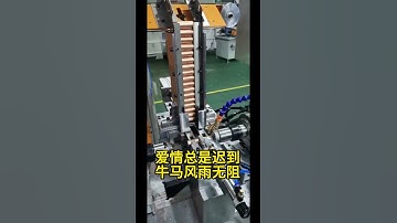 Double-head chamfering machine #machine #factory #industry #cnc #chamferingmachine #video #work