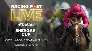Shergar Cup 2021 | Ascot, Haydock & Newmarket | Racing Post Live screenshot 5