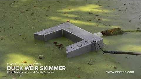 Duckweed Removal Skimmer
