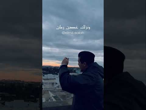 غصن رمان MaryamShehab