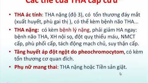 Cơn Tăng Huyết áp [Video Tim mạch 4/25] Y Hà Nội
