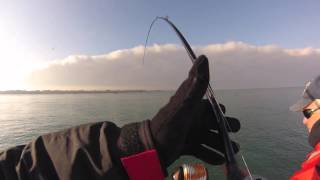 Lake Ontario Niagara Bar Jigging trout