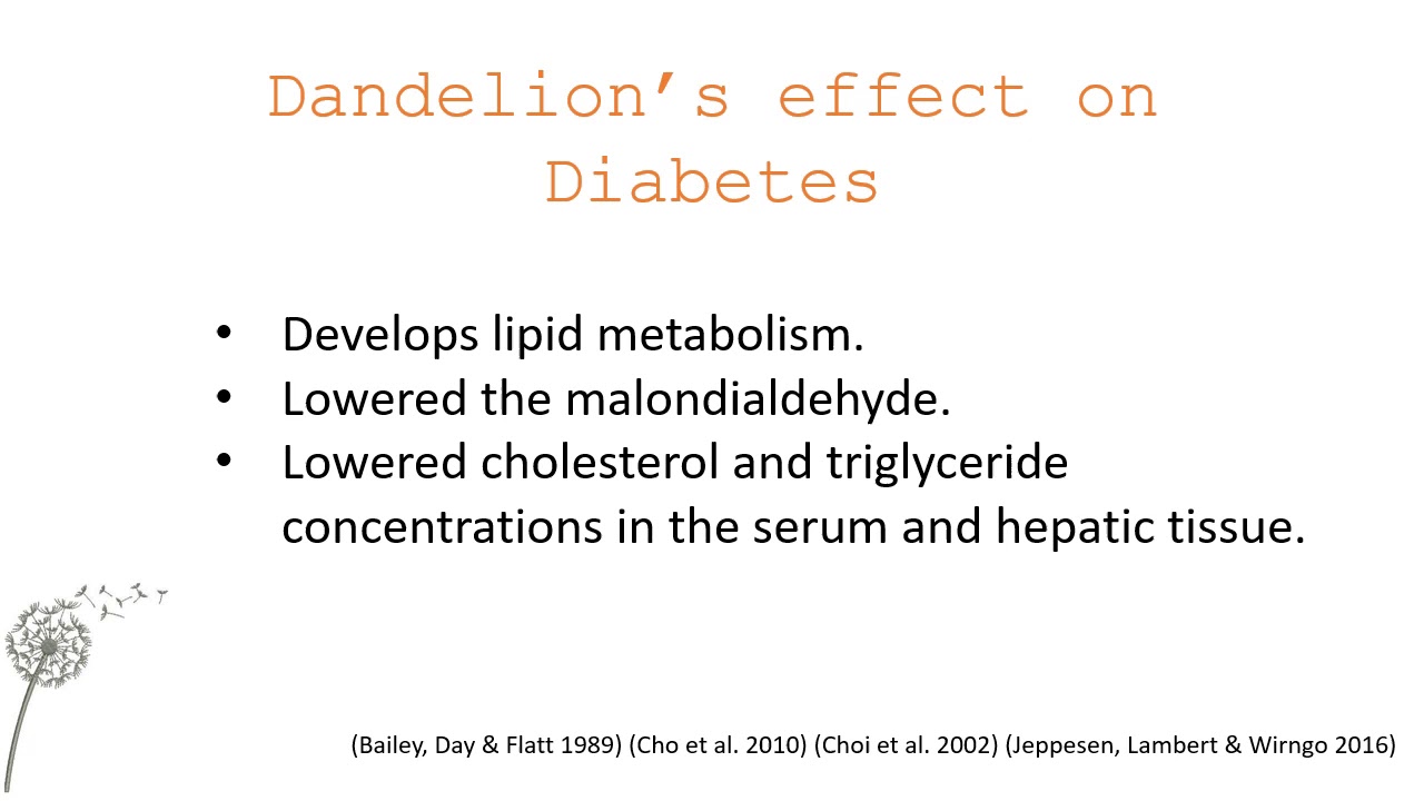 Dandelion Medicinal Properties - YouTube