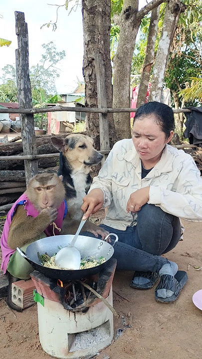 Best SokYaa,OG, ToTo Animals Are So Awesome #shorts