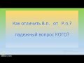 Винительный падеж или Родительный? (кого?)