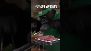 고릴라의 취업 스토리#ai #monkey #취업자 #animals #g고릴라 #funny #국민취업지원제도 #cute #진로직업