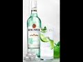Bacardi Mojito Caipi original song - The Muddle