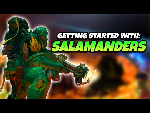 Video: Beste beginner salamanders en salamanders
