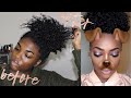 How to Moisturize DRY Natural Hair | TYPE 4 HAIR ROUTINE | All Natural Products | Courtney Lynn