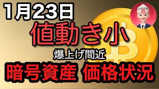 1月23日暗号資産価格状況 毎日更新は146日 ～モニカの暗号資産ニュース情報局～