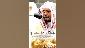 وَاسْتَعِينُوا بِالصَّبْرِ وَالصَّلَاةِ ~ تلاوة بياتية جميلة تريح القلوب للشيخ ياسر الدوسري 🤍😴