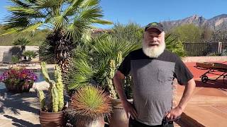 Dr. Weil's COVID19 Message | Andrew Weil, M.D.