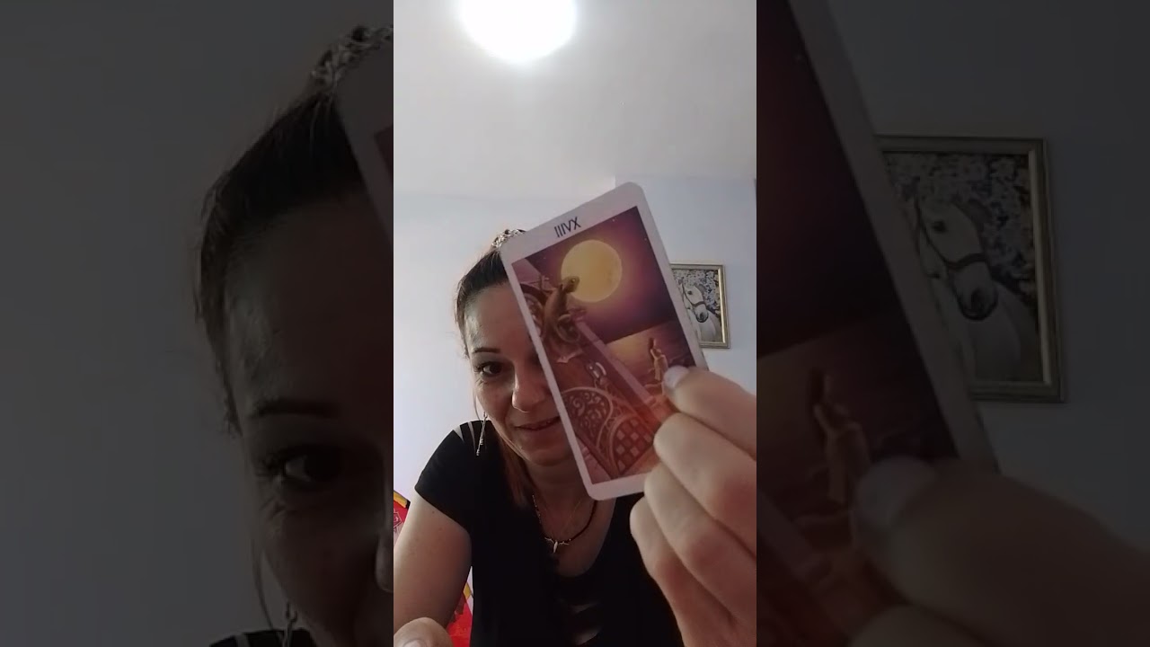 Лъвски портал!🦁Какво Ви очаква?