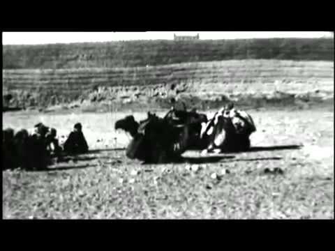 ال عيسى في شقراء بني زيد