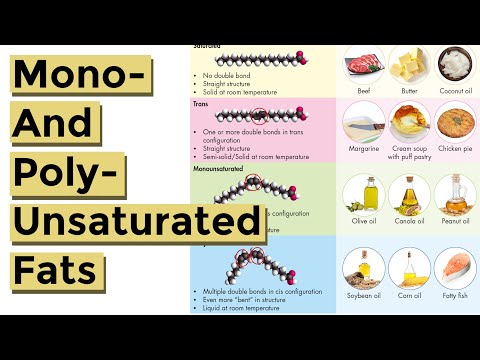 Mono and Polyunsaturated Fat Explained (Made Easy to Understand!)