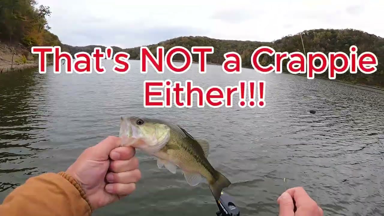 Kentucky Crappie Trail--Cave Run Lake Division