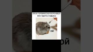 Мем про удары судьбы