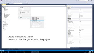 Dynamics 365 finance and operations - Visual studio Add in - Table labels