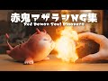 【NG集】赤鬼アザラシの可愛くて笑えるハプニング集🦭【節分】