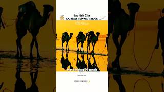 Recite these dhikr 100 times and earn countless rewards. May Allah accept. Ameen.