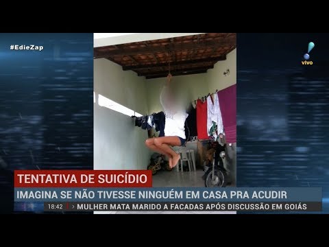 Vídeo: Jovem garota ajuda a salvar centenas de cães, iniciando seu próprio projeto de resgate