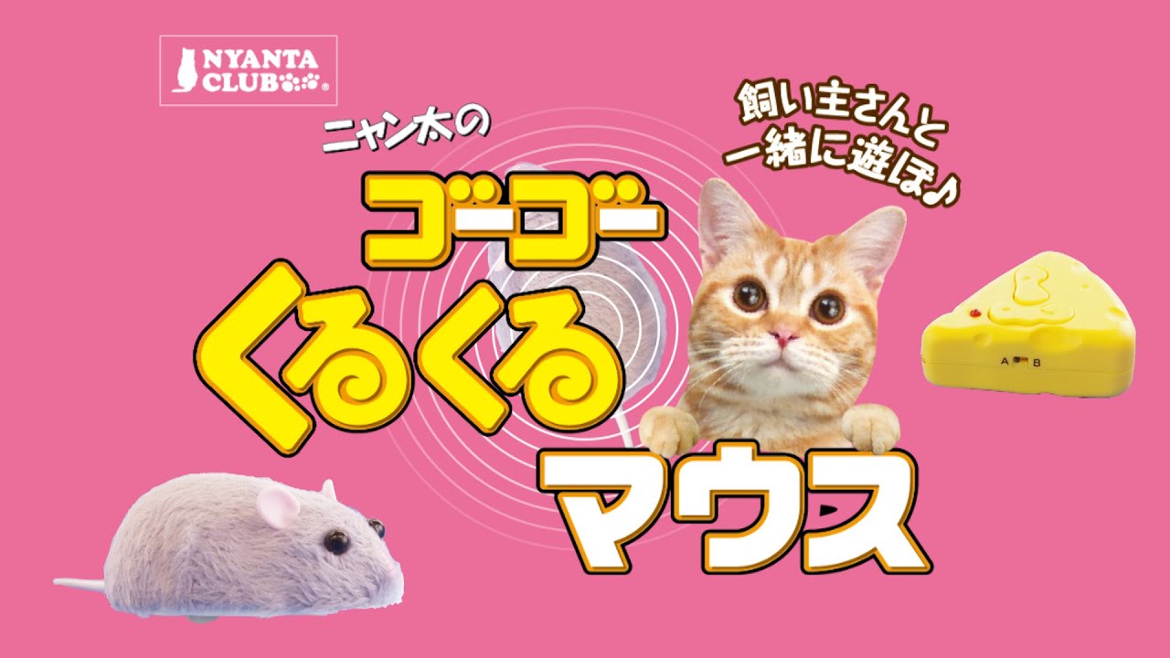 ニャン太のゴーゴー くるくるマウス Youtube ニャン太のゴーゴー くるくるマウス Youtube