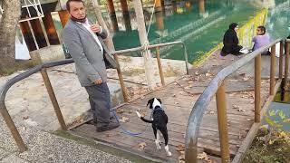 Yıldızların Altında Sevişmek,🎶🎵🎶 Manavgat Irmaği Şiir 🤗