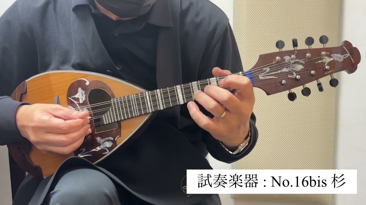 Calace No.16bis/杉/Topセラック【 マンドリン】 カラーチェ 【 丸井