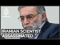 Top Iranian nuclear scientist assassinated near Tehran