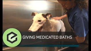 Medicated Bath for Dogs