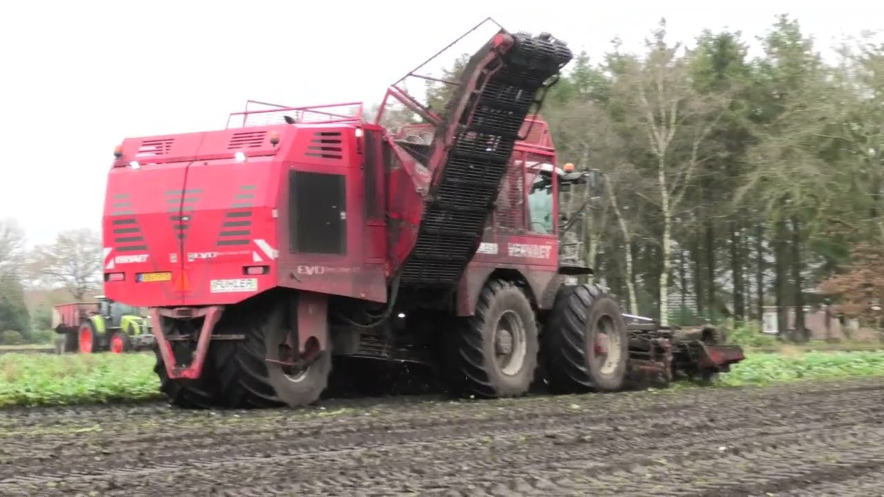 BIETEN ROOIEN MET EEN VERVEAT 925 EN  CLAAS AXION 810 CLAAS ARION 510 CLAAS ARION 650