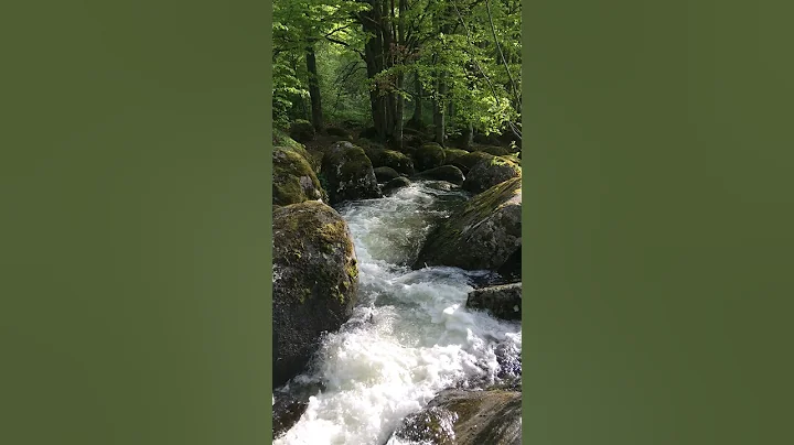 Find Joy and Gratitude in Simple Things #shorts #affirmations #mindfulness #gratitude #happiness