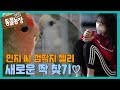 민지 씨를 짝으로 정했던 젤리, 새로운 피앙세 찾기! I TV동물농장 (Animal Farm) | SBS Story