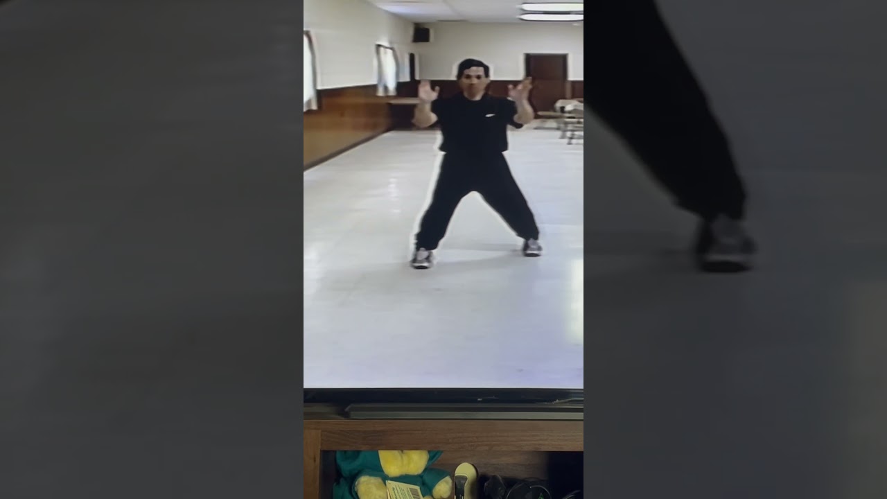 Sifu Robert Tan performing Luohan Kung Fu Sam Chien. 